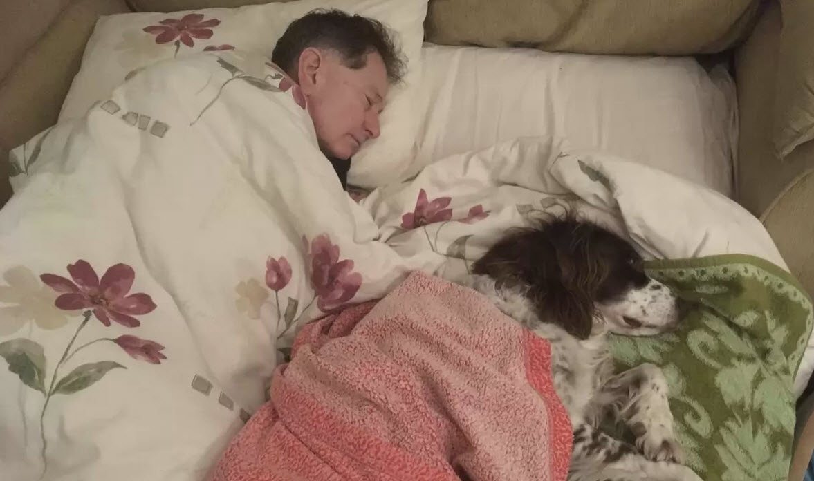 Family Starts Sleeping Downstairs After Their Dog Has 2 Strokes And Can